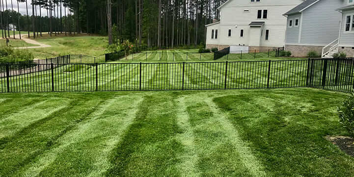 Expert Lawn Mowing in Moseley VA