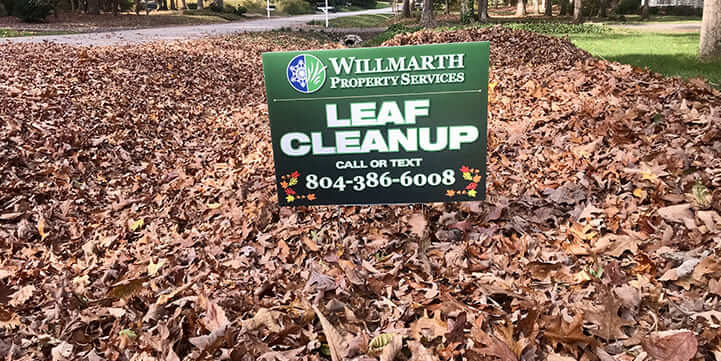 Expert Leaf Removal For Moseley VA