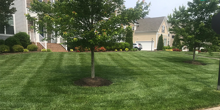 Lawn Care and Landscape Services For Summer Lake