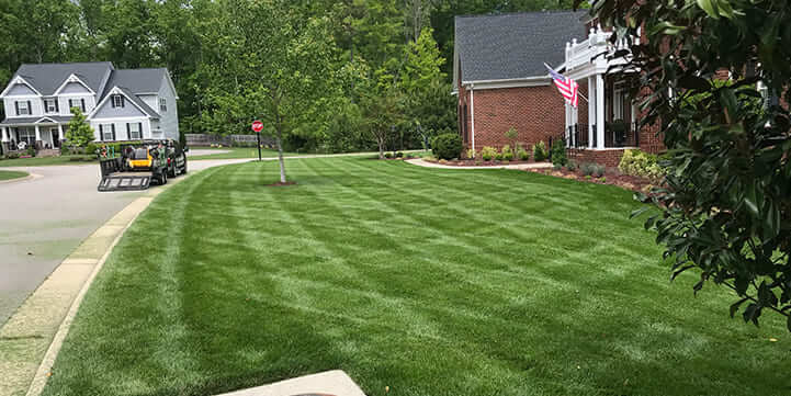 Lawn Care and Landscaping in Midlothian