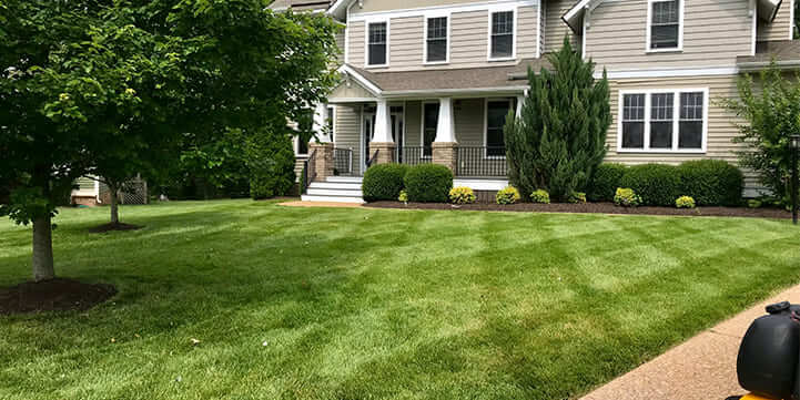Lawn and Landscape Maintenance For Virginia