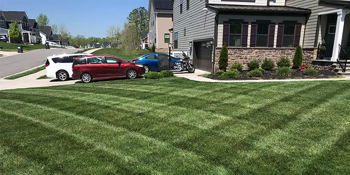 Lawn and Landscaping-Services For Hallsboro