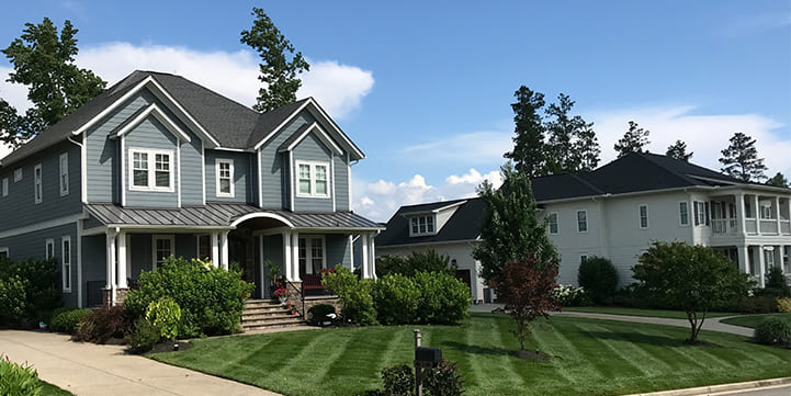 Professional Lawn Care Services in Moseley