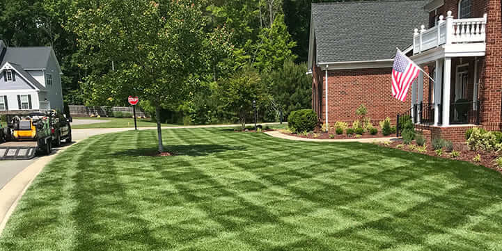 Professional Expert Lawn Mowing Services