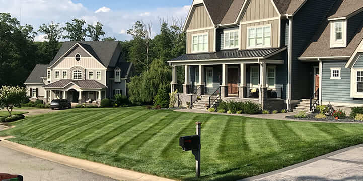 Professional Lawn and Landscape Maintenance Services