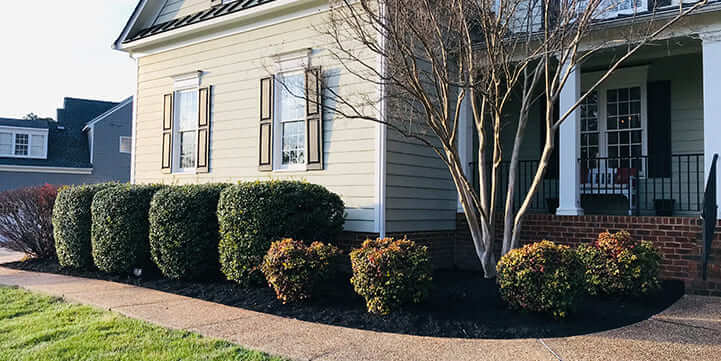 Shrub Trimming Services For Moseley Virginia