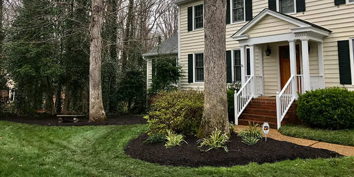 affordable lawn care and landscaping in Moseley
