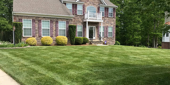 landscaping and lawn care in Moseley