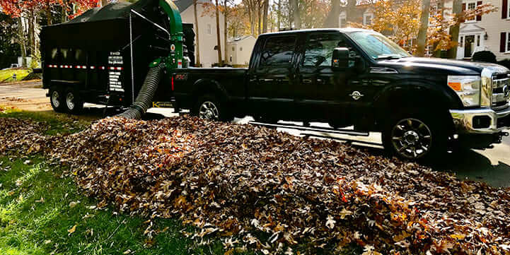 professional fall leaf removal
