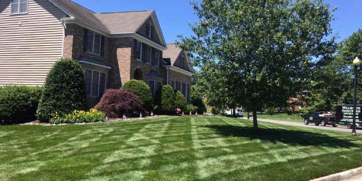 lawn care and landscaping services holly hills va