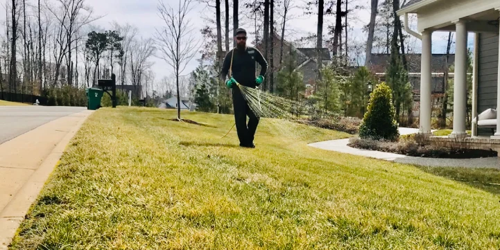 fertilization schedules for lawns