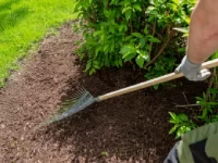 Spring Lawn & Landscape Cleanup Checklist for Virginia Homeowners spring lawn landscape cleanup virginia